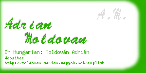 adrian moldovan business card