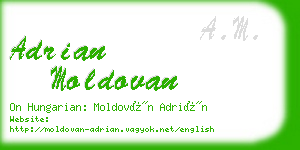 adrian moldovan business card
